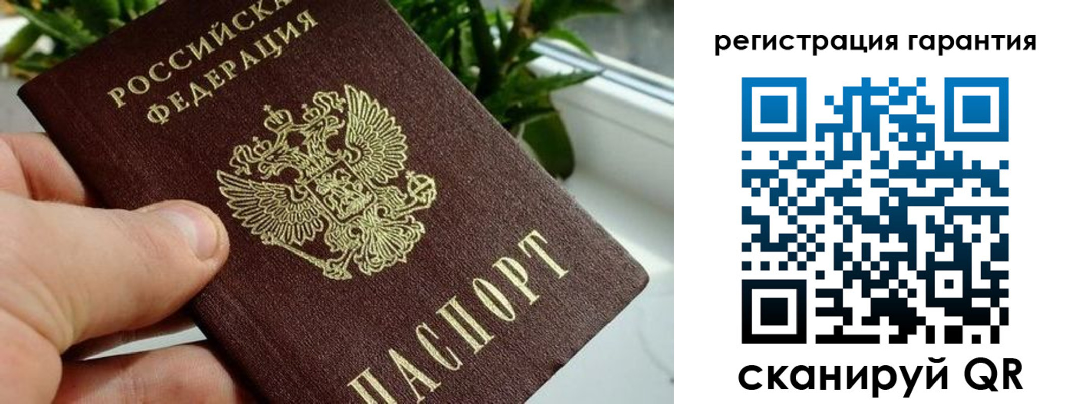 временная регистрация надежно в Сясьстрое